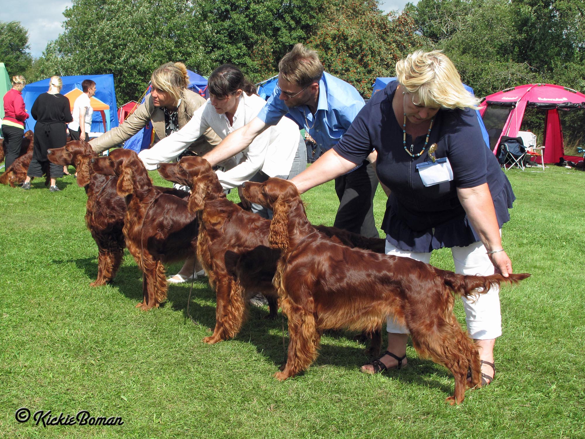 Coppers breedersgroup